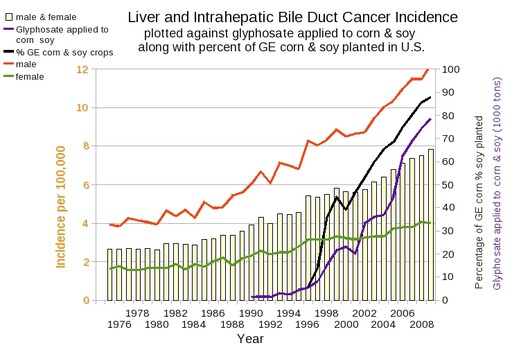 Graph of the incidence of liver cancer